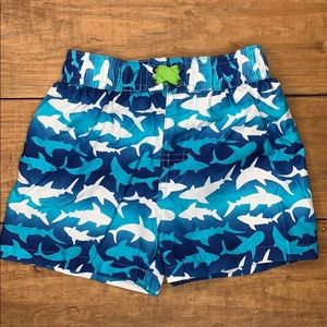 Boys Swim trunks - size 12 months